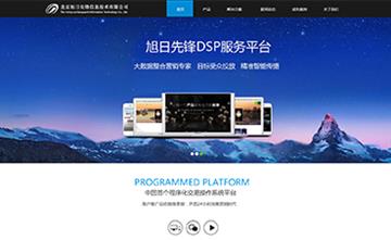 自貢黑羽網(wǎng)絡(luò)網(wǎng)頁(yè)制作案例-天津旭日先鋒有限公司